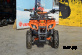 Квадроцикл ATV Target Next