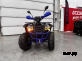 Квадроцикл GBM SHARP BIG 300 NEW PREMIUM