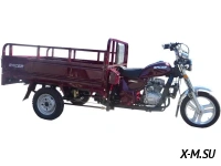 Трицикл RACER RC200ZH MURAVEI