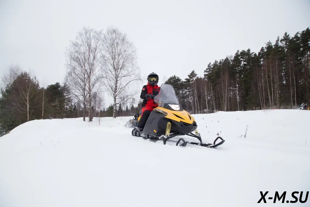 Снегоход Русская механика РМ TIKSY 250 ЛЮКС