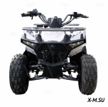 Квадроцикл REGILMOTO HAMMER 125