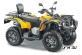 Квадроцикл STELS  ATV 650 YL EFI LEOPARD