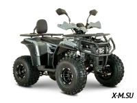 Квадроцикл YACOTA DRAGON LUX LD 125