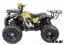 Квадроцикл ATV Termit TT