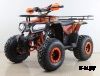 Квадроцикл SSSR Master